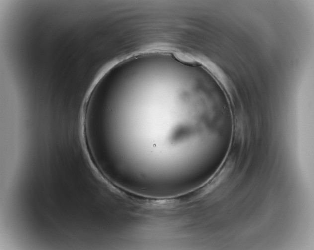 X0000099971390200805301325