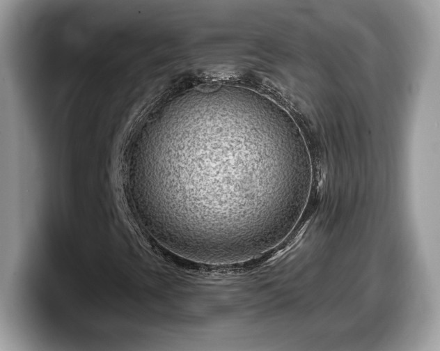 X0000099971393200805301324