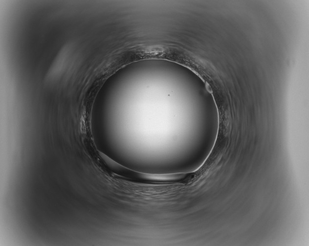 X0000099971394200805301324