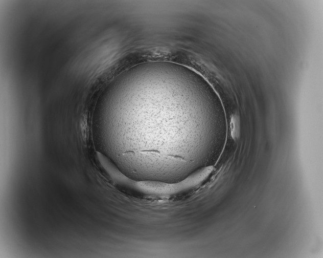 X0000099971395200805301324