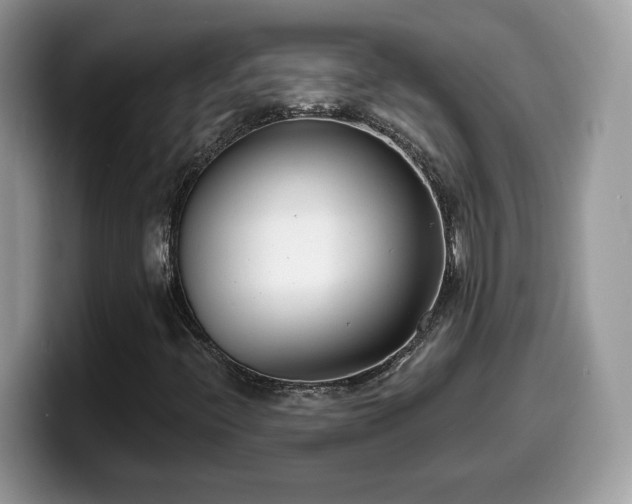 X0000099971396200805301324