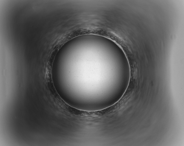 X0000099971397200805301324