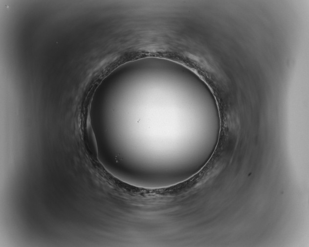 X0000099971398200805301324