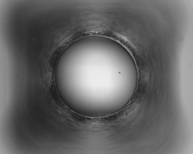 X0000099971399200805301324