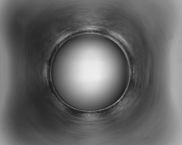 X0000099971404200805301324