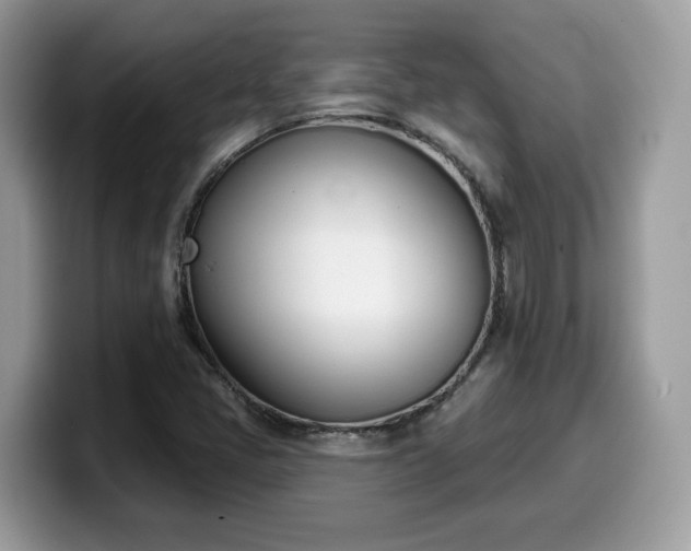 X0000099971405200805301324