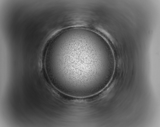 X0000099971407200805301324