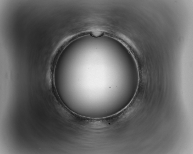 X0000099971408200805301325