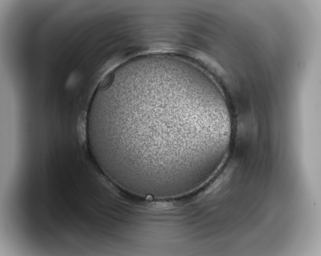 X0000099971409200805301325