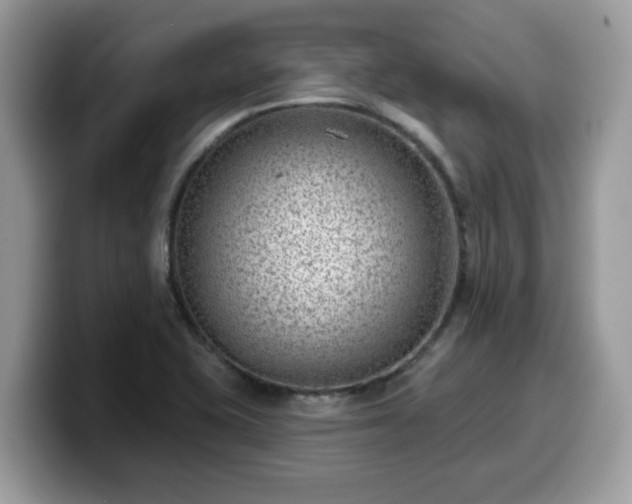 X0000099971415200805301325