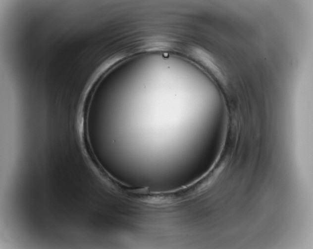 X0000099971418200805301325