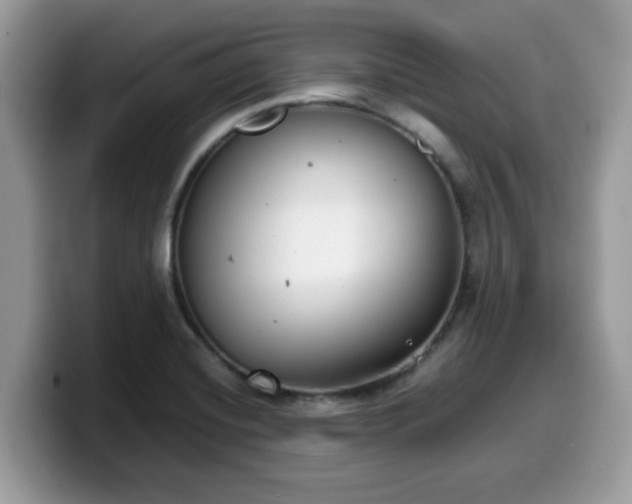 X0000099971420200805301325