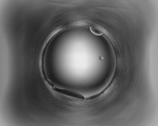 X0000099971426200805301325