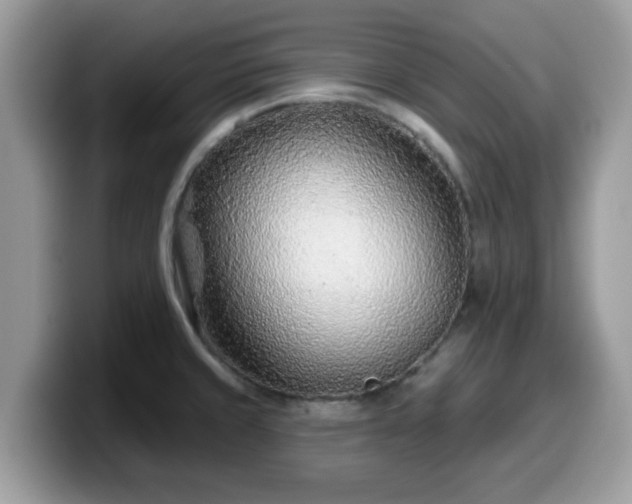 X0000099971429200805301325