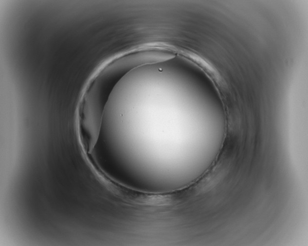 X0000099971430200805301325