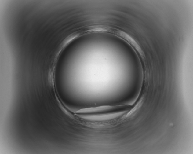 X0000099971433200805301325