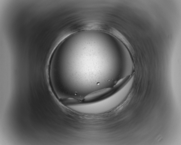 X0000099971434200805301325