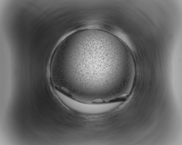 X0000099971436200805301325