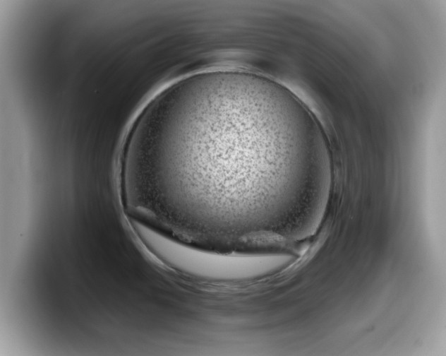 X0000099971438200805301325