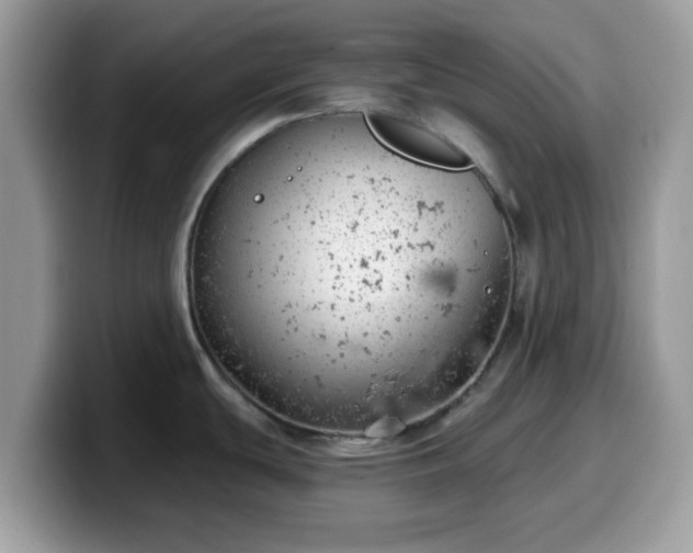 X0000099971439200805301325