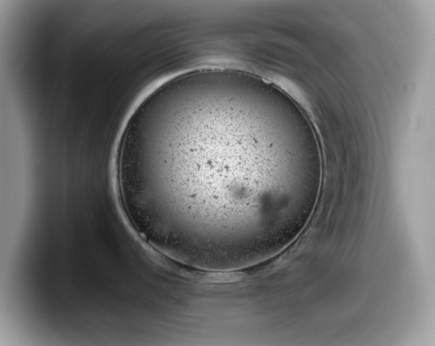 X0000099971440200805301325