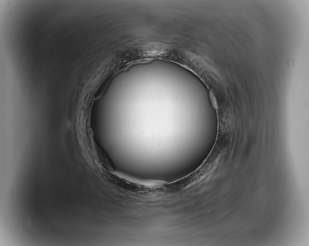 X0000099971441200805301324