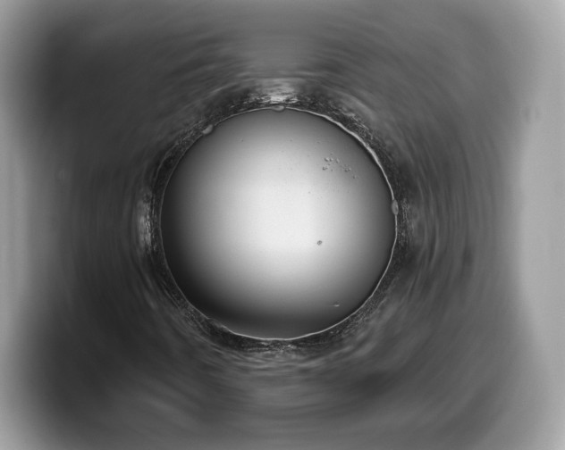 X0000099971442200805301324