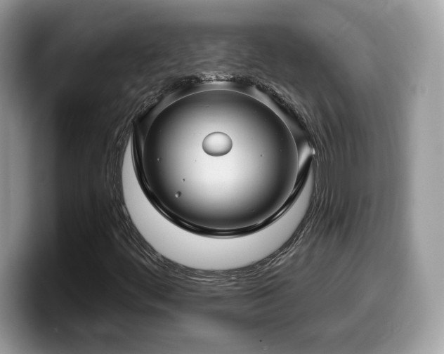 X0000099971444200805301324