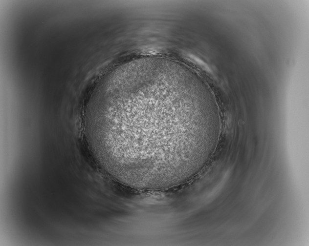X0000099971446200805301324