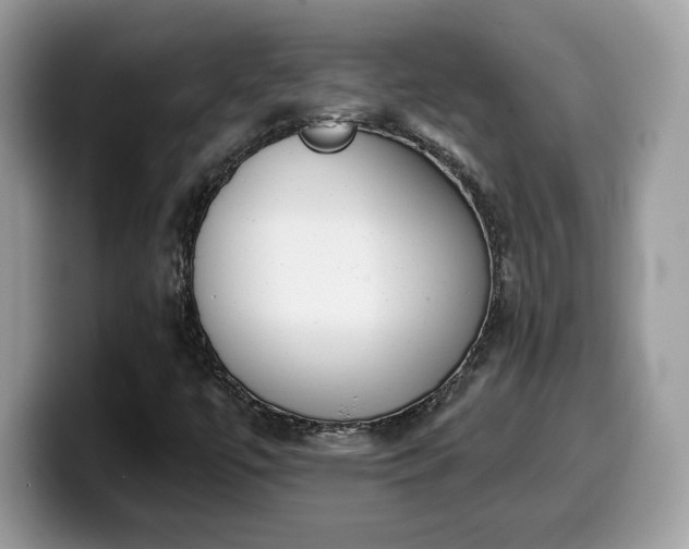 X0000099971447200805301324