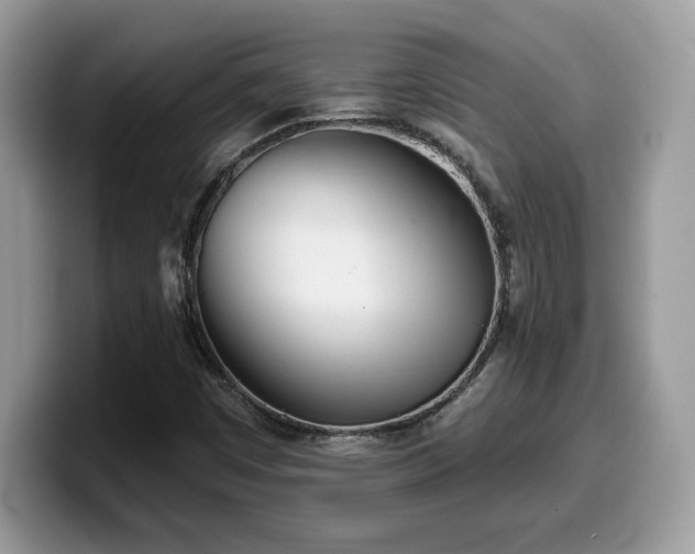 X0000099971449200805301324