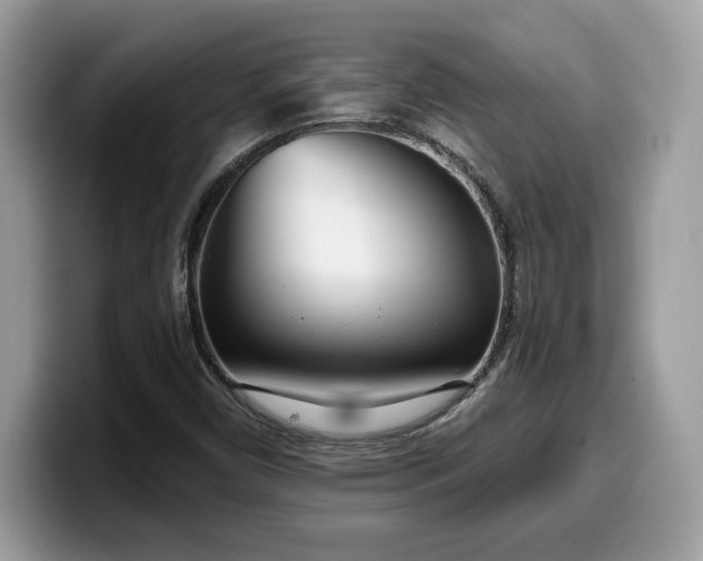 X0000099971450200805301324