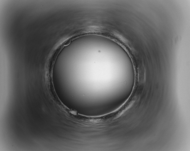 X0000099971453200805301324