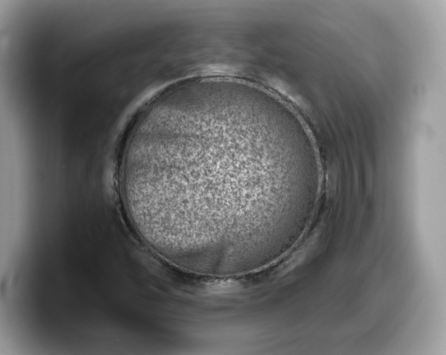 X0000099971454200805301324