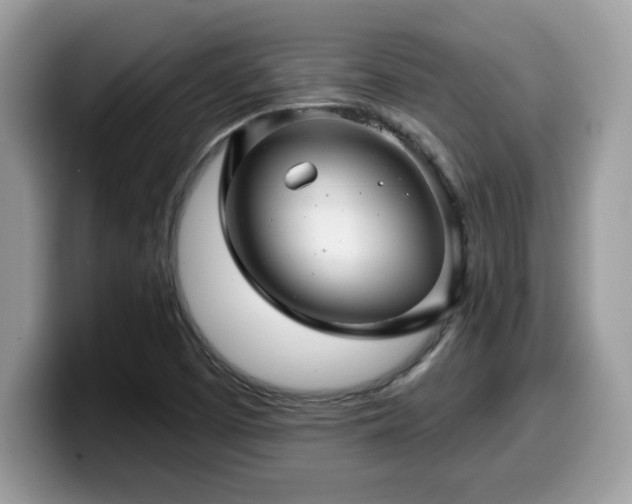 X0000099971457200805301324