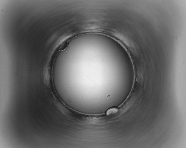 X0000099971458200805301324