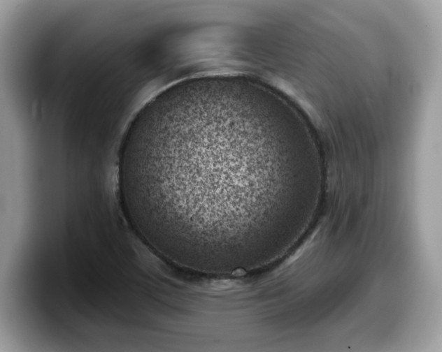 X0000099971459200805301324