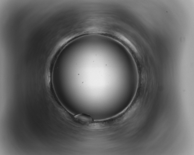 X0000099971461200805301324