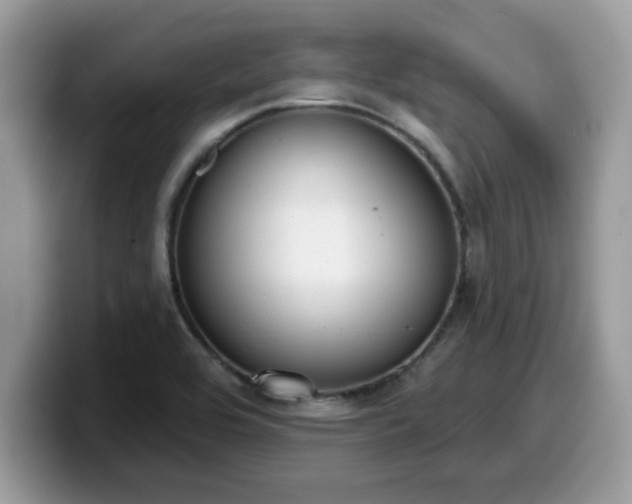 X0000099971464200805301324