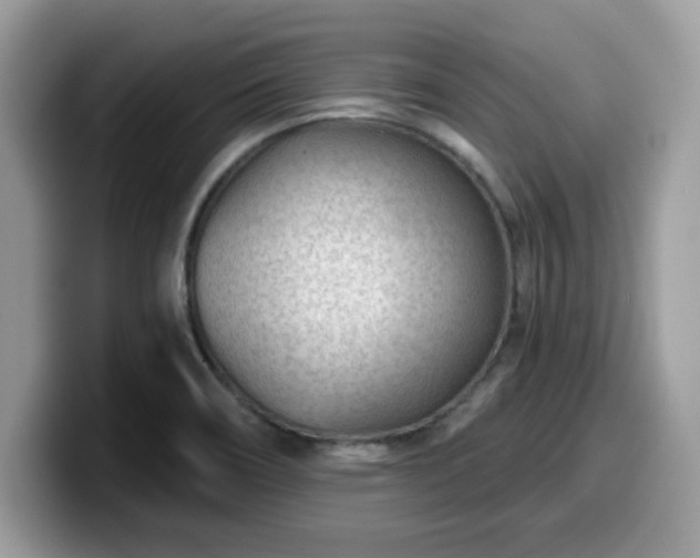 X0000099971466200805301324