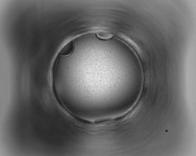 X0000099971467200805301324