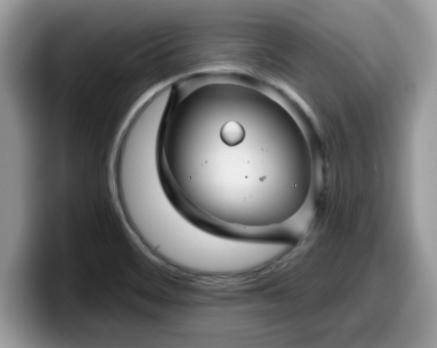 X0000099971468200805301324