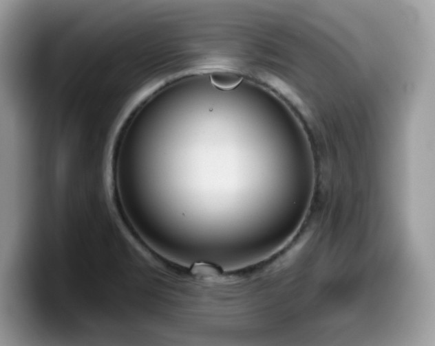 X0000099971469200805301324