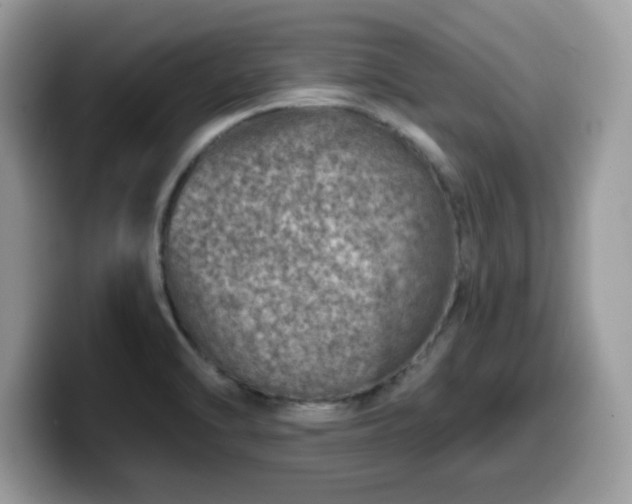 X0000099971470200805301324