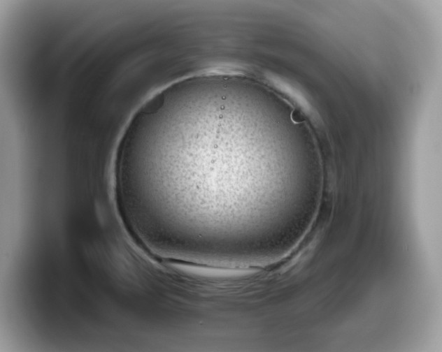 X0000099971471200805301324