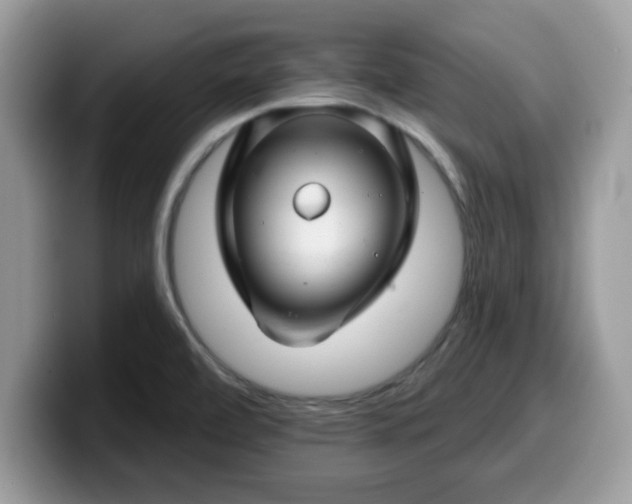 X0000099971472200805301324