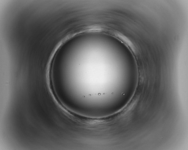 X0000099971475200805301324