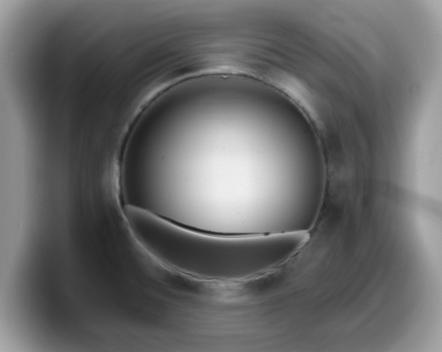 X0000099971476200805301324