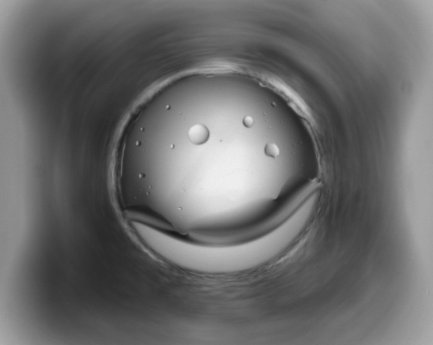 X0000099971477200805301324