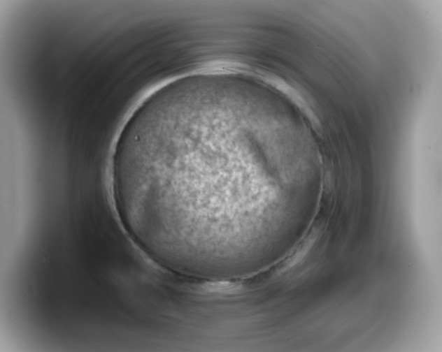 X0000099971478200805301324